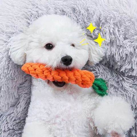 Đồ chơi cắn gặm dây thừng bện cà rốt https://petshopvinh.vn/