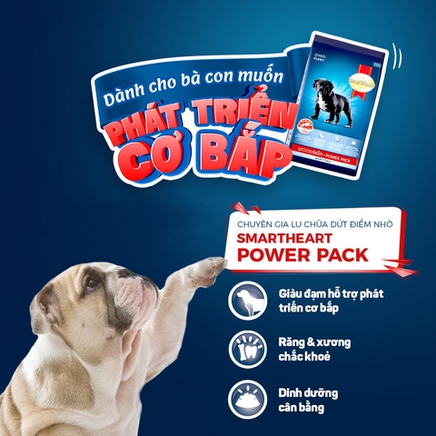 Thức ăn SmartHeart power pack puppy cho chó con