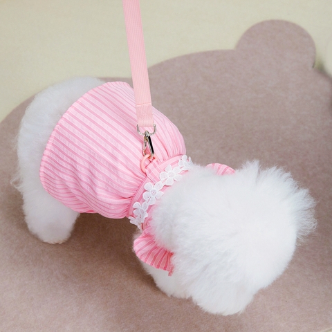 Váy công chúa kẻ sọc 4 mùa https://petshopvinh.vn/