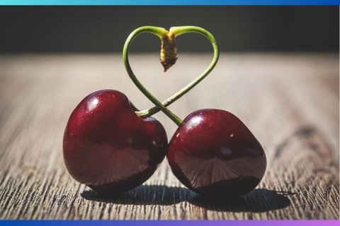 Top 5 Trang Trại Hái Cherry Hấp Dẫn Nhất Gần Sydney Không Thể Bỏ Lỡ