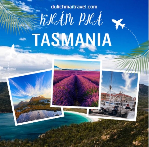 [TOUR ÚC 6N5D 2024 ]  TASMANIA,LAUNCESTON,HOBART,MÙA HOA LAVENDER,BAY VN