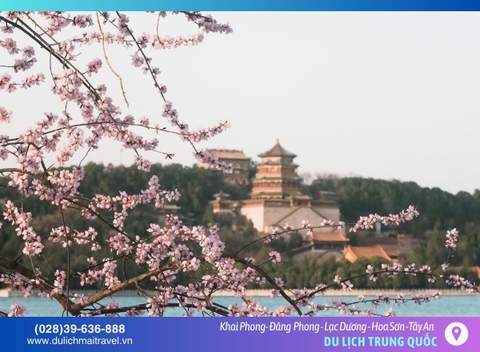 Tour Trung Quốc 6N5D • Khai Phong- Đăng Phong-Lạc Dương-Hoa Sơn-Tây An-Kungfu Thiếu Lâm Tự | 27 Tết 2026