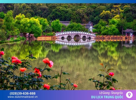 Tour Trung Quốc 5N4D • Lệ Giang- Shangrila | Mùng 1 Tết 2026 • No Shop