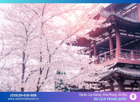 Tour Trung Quốc 7N6D •Tây An - Lạc Dương - Đăng Phong - Lăng Tầng Thủy Hoàng - Khai Phong Phủ | 29 Tết 2026