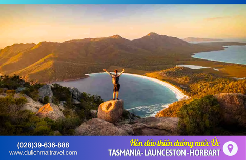 Tour Úc 6N5D • Tasmania, Launceston, Hobart, Mùa Hoa Lavender