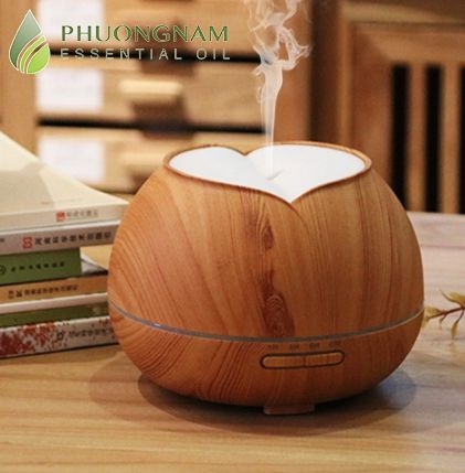 ĐÈN XÔNG TINH DẦU HAY MÁY KHUẾCH TÁN TINH DẦU?