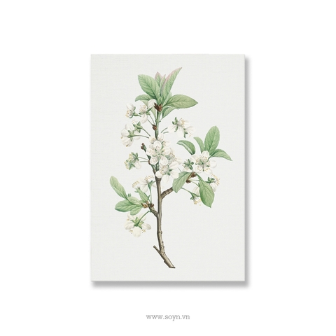 Tranh Hoa lá, Flower, Leaves, Green, Soyn S0241
