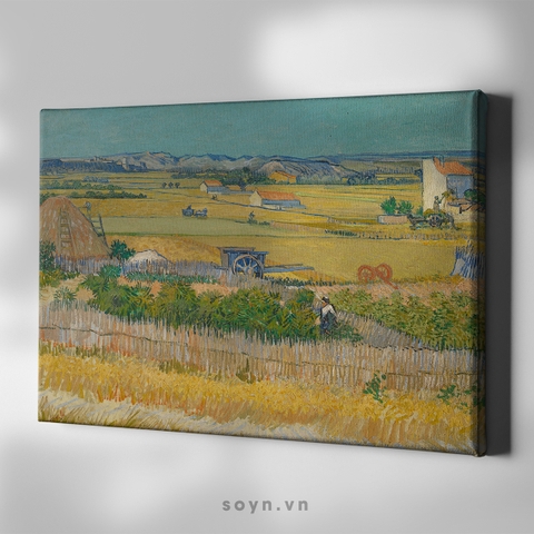 Tranh treo tường Cotton Canvas Cổ điển, Classic painting, căng khung gỗ thông tràn cạnh SNS3515 Van Gogh