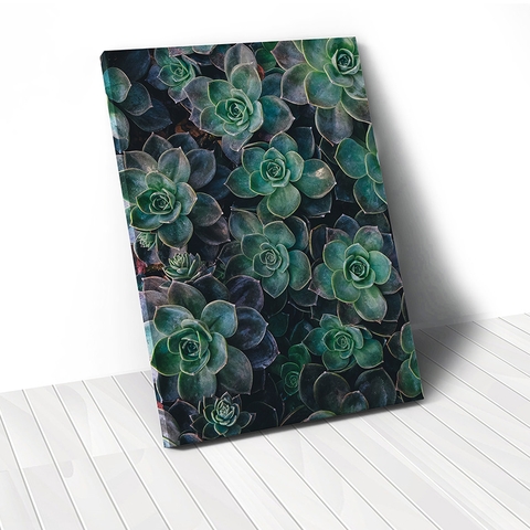 Tranh canvas Succulent, Green, Tropical