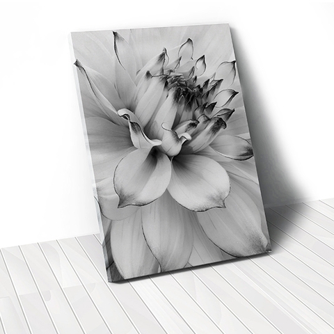 Tranh canvas Black & White Flower