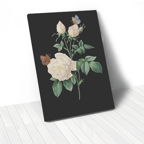 Tranh canvas Rose Flower, Black, Butterfly