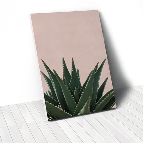 Tranh canvas Cactus, Pink