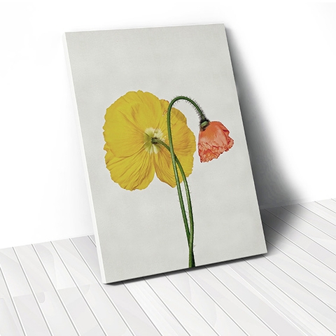 Tranh canvas Poppy Flower 3, Yellow