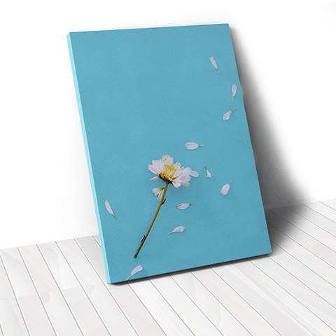 Tranh canvas White Daisy Flower