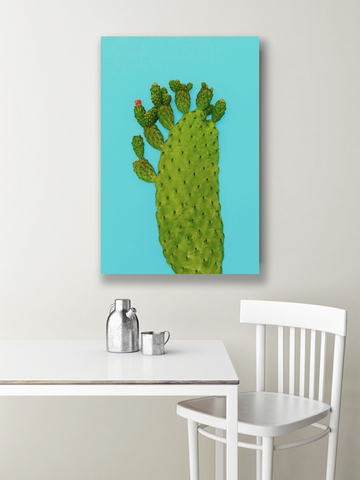 Tranh Cactus, art