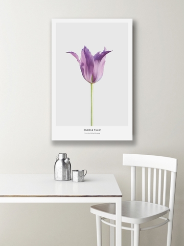 Tranh canvas Purple Tulip Flower