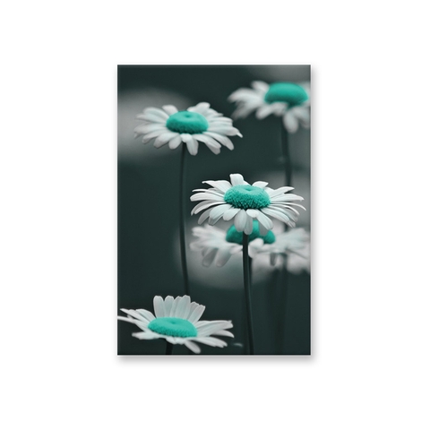 Tranh Flower, BW, turquoise, beauty