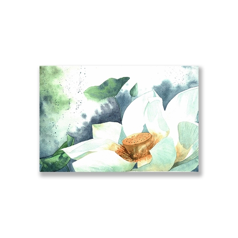 Tranh White lotus watercolor S0233