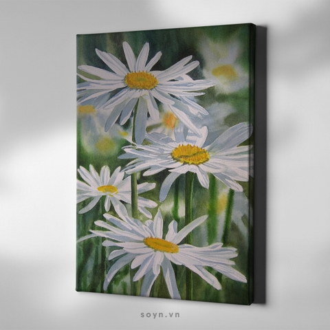 Tranh treo tường Cotton Canvas Flower, Daisy / Hoa Cúc họa mi S0408