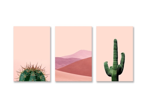 Bộ tranh Cactus, Succulent, Pink