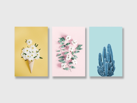 Bộ tranh Flower, Cactus, Pastel, Yellow, Blue, Pink SE167