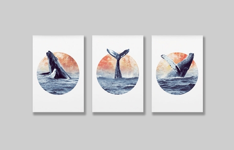 Bộ tranh Whale, Blue, Animal SE182