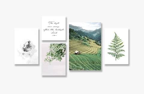 Tranh Sapa, Field, Landscape, Leaves, Flower, Green SE190