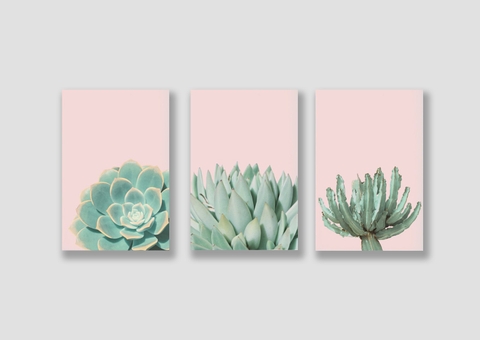 Bộ tranh Cactus, Succulents, Pink, Pastel SE217
