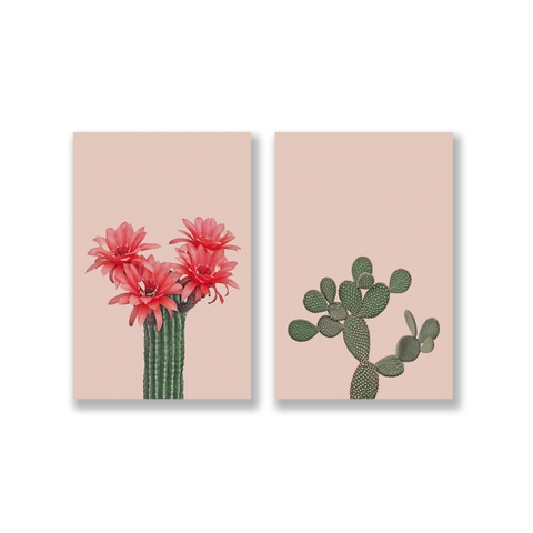 Bộ tranh Cactus, Flower, Pink SE218