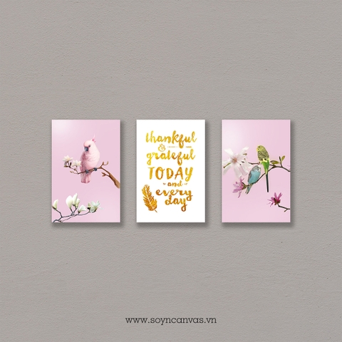 Bộ tranh Pink, Birds, Gold, Quote SE276