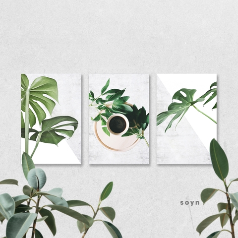 Bộ tranh Botanical, Leaves, Coffee, Green, SE304