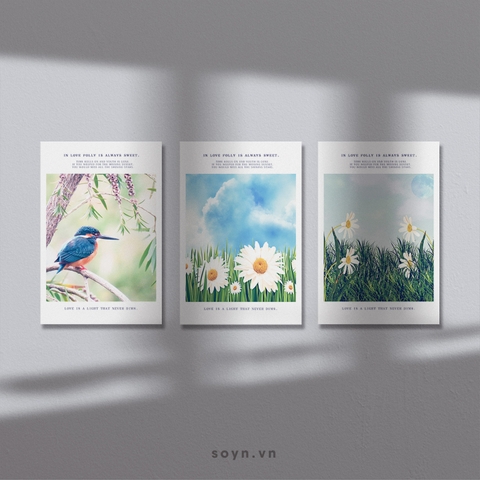 Bộ tranh Nature, Flower, Bird, Modern Art, SE431