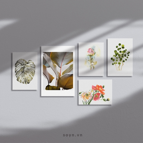Bộ tranh Botanical, Flower, Tropical, Modern Art, SE436