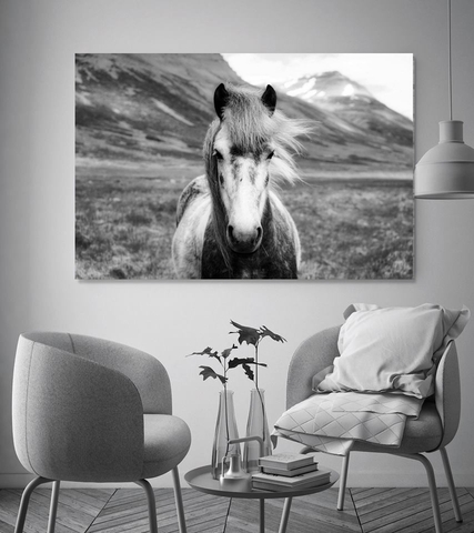 Tranh Horse, Black and white