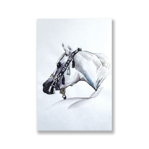 Tranh White horse watercolor