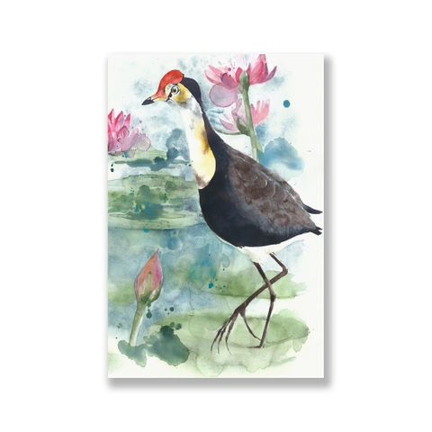 Tranh Tropical bird, lotus flower watercolor painting SN0084