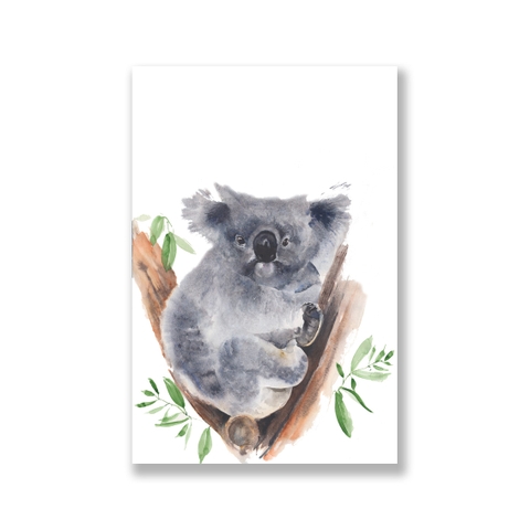 Tranh Koala watercolor painting SN0086