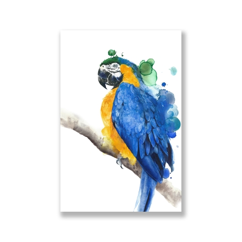 Tranh Parrot watercolor painting, yellow, blue SN0089