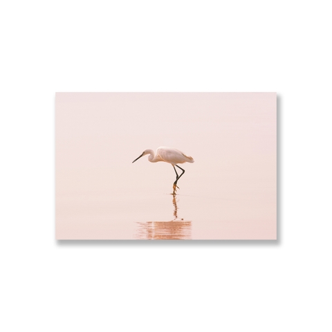 Tranh Flamingo, pink pastel, minimalism