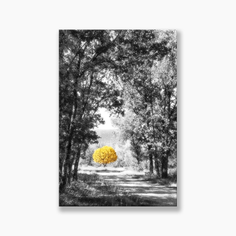 Tranh Beautiful forest, Yellow tree, Black and White