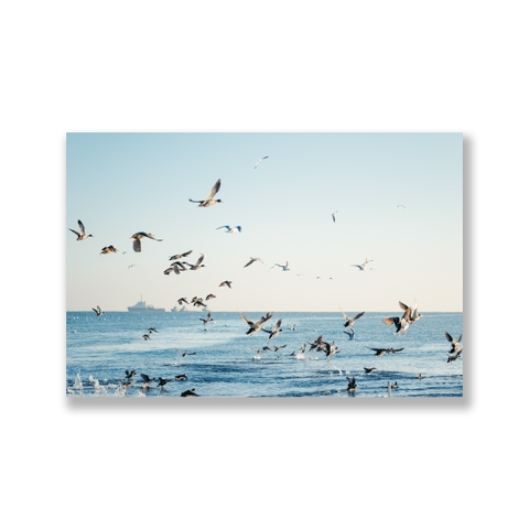 Tranh Beach, Sea, Birds fly