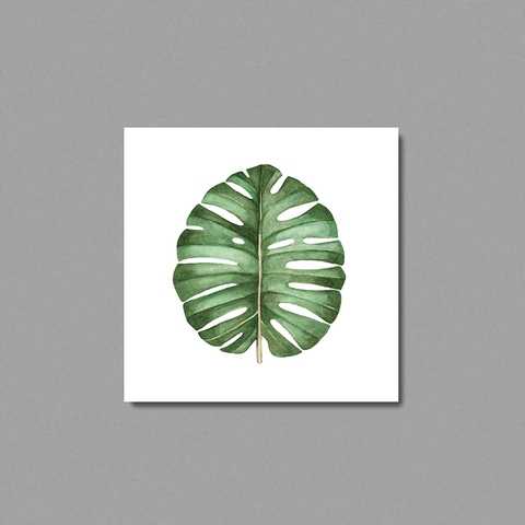 Tranh Monstera watercolor