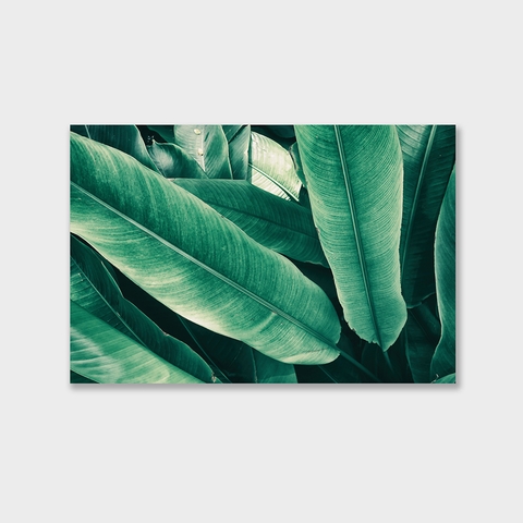 Tranh Green leaves, tropical