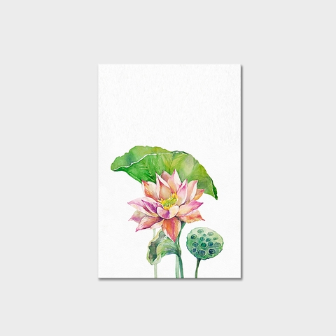 Tranh Lotus flower watercolor