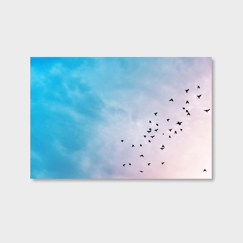 Tranh Birds fly, blue sky