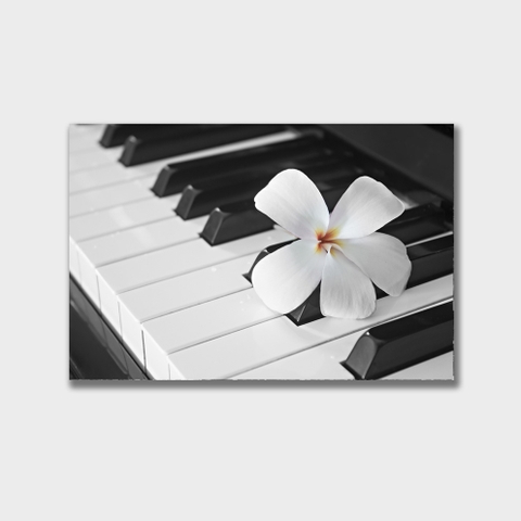 Tranh Piano, flower BW