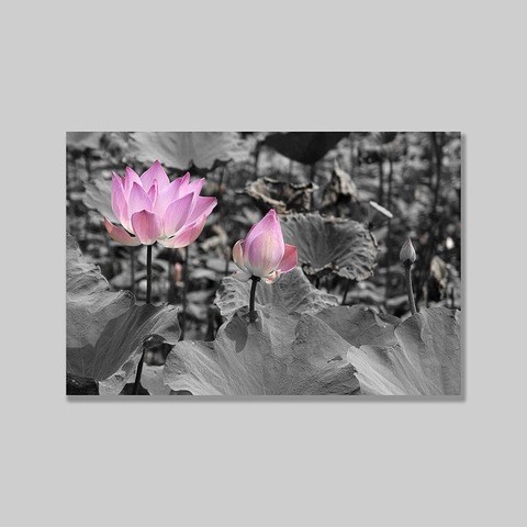 Tranh Lotus flower, BW