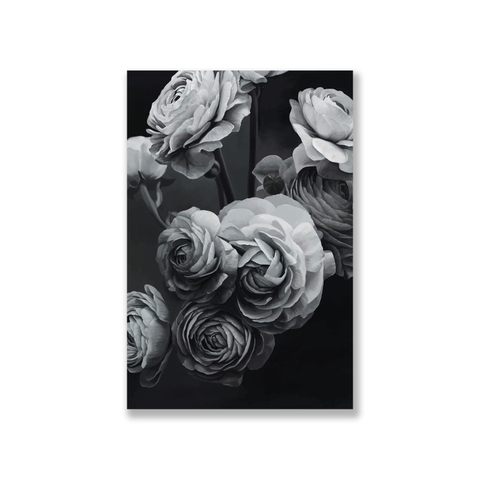 Tranh Peony flower BW