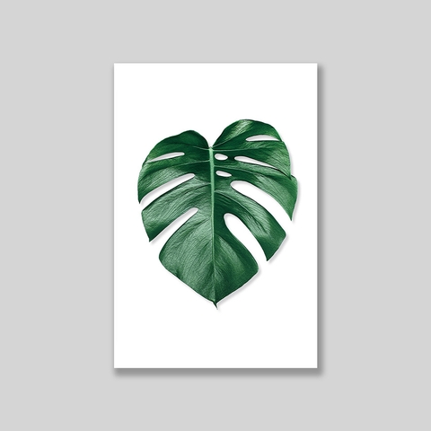 Tranh Monstera leaf