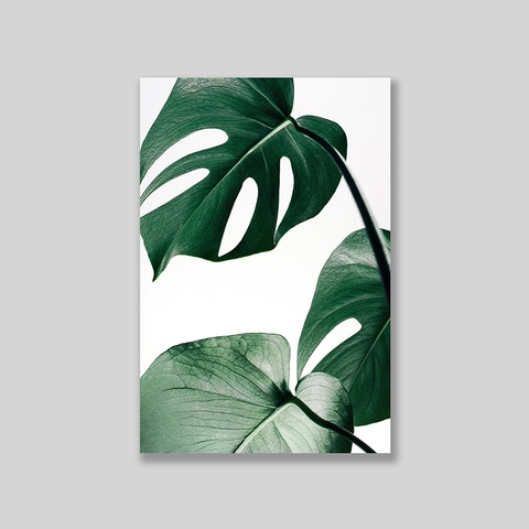 Tranh Monstera leaves